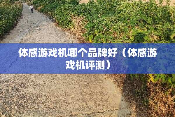体感游戏机哪个品牌好（体感游戏机评测）