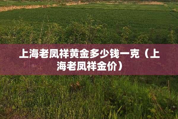 上海老凤祥黄金多少钱一克（上海老凤祥金价）