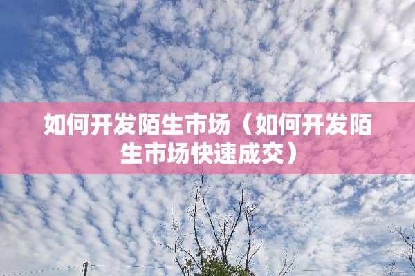 如何开发陌生市场（如何开发陌生市场快速成交）
