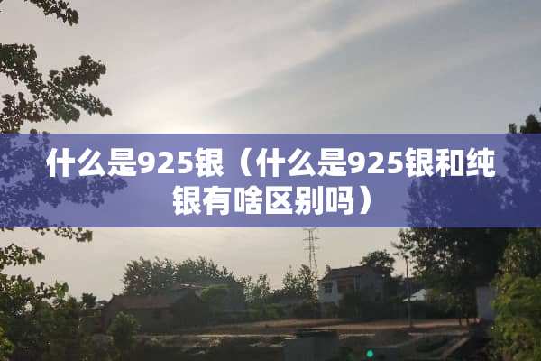 什么是925银（什么是925银和纯银有啥区别吗）