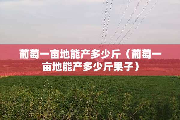 葡萄一亩地能产多少斤（葡萄一亩地能产多少斤果子）
