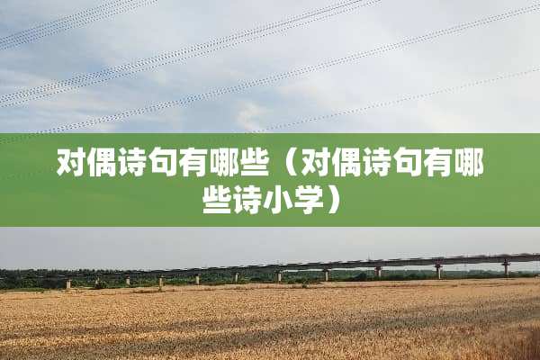 对偶诗句有哪些（对偶诗句有哪些诗小学）