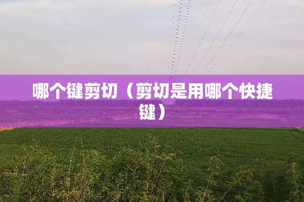 哪个键剪切（剪切是用哪个快捷键）