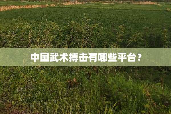 中国武术搏击有哪些平台？