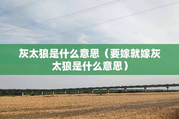 灰太狼是什么意思（要嫁就嫁灰太狼是什么意思）