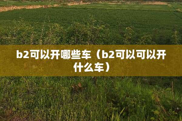 b2可以开哪些车（b2可以可以开什么车）