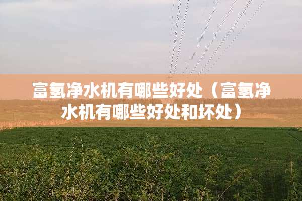 富氢净水机有哪些好处（富氢净水机有哪些好处和坏处）