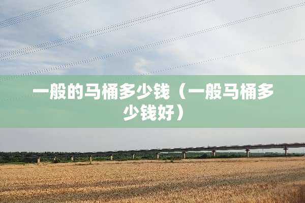 一般的马桶多少钱（一般马桶多少钱好）