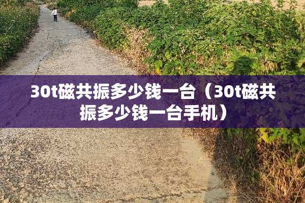 30t磁共振多少钱一台（30t磁共振多少钱一台手机）