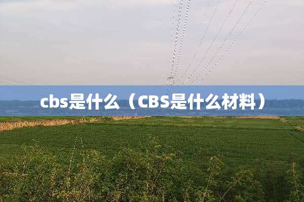 cbs是什么（CBS是什么材料）