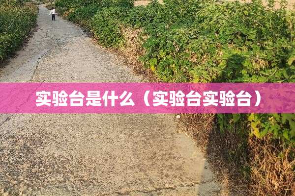实验台是什么（实验台实验台）