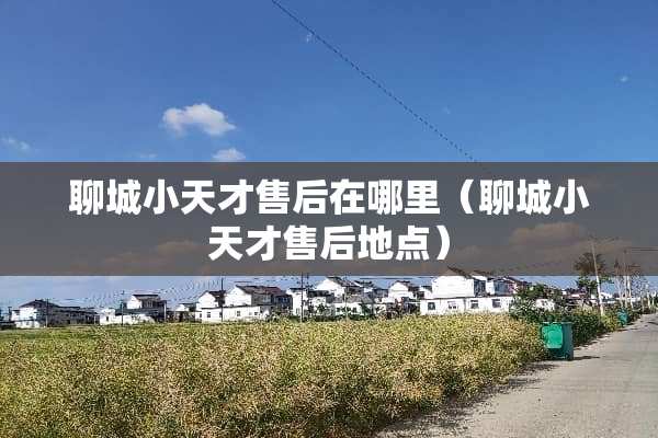 聊城小天才售后在哪里（聊城小天才售后地点）