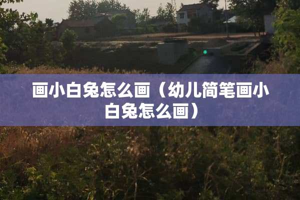 画小白兔怎么画（幼儿简笔画小白兔怎么画）