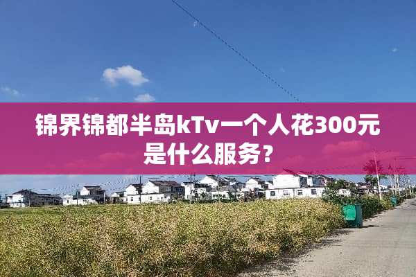 锦界锦都半岛kTv一个人花300元是什么服务？