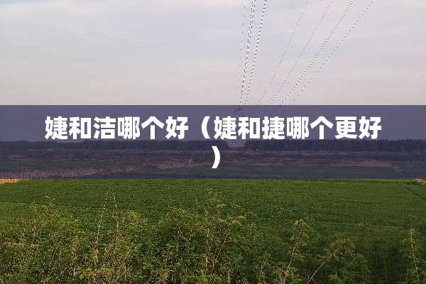 婕和洁哪个好（婕和捷哪个更好）