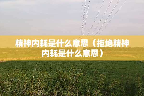 精神内耗是什么意思（拒绝精神内耗是什么意思）