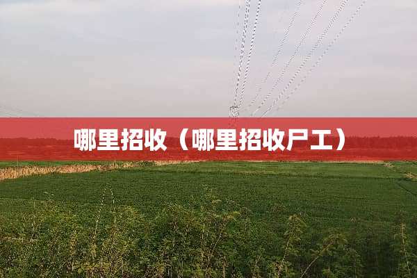 哪里招收（哪里招收尸工）