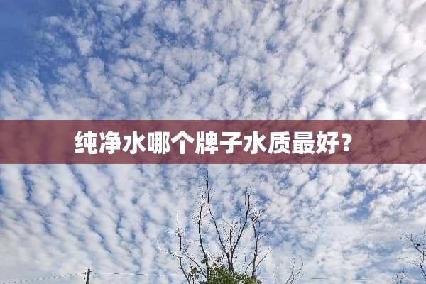 纯净水哪个牌子水质最好？