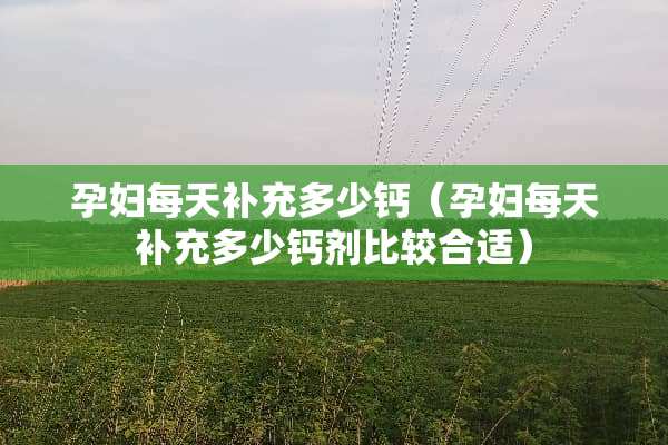 孕妇每天补充多少钙（孕妇每天补充多少钙剂比较合适）