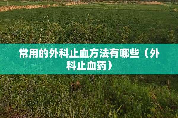 常用的外科止血方法有哪些（外科止血药）