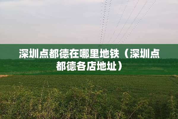深圳点都德在哪里地铁（深圳点都德各店地址）
