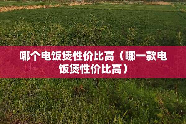 哪个电饭煲性价比高（哪一款电饭煲性价比高）