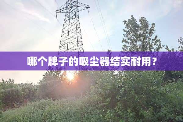 哪个牌子的吸尘器结实耐用？