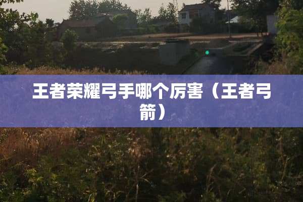 王者荣耀弓手哪个厉害（王者弓箭）