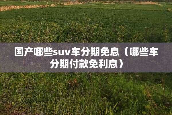 国产哪些suv车分期免息（哪些车分期付款免利息）