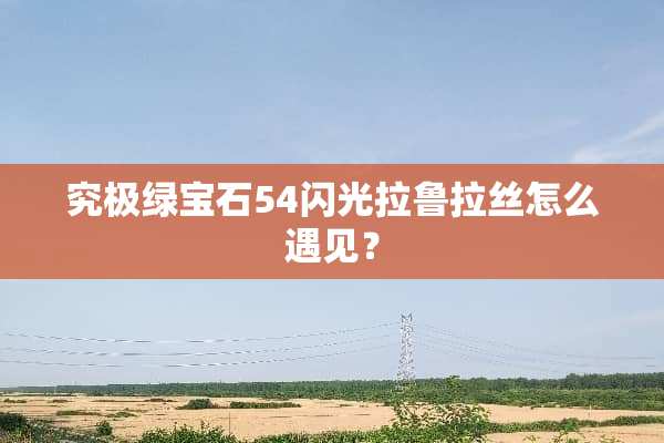 究极绿宝石54闪光拉鲁拉丝怎么遇见？