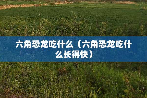 六角恐龙吃什么（六角恐龙吃什么长得快）