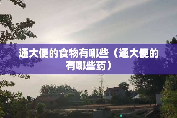 通大便的食物有哪些（通大便的有哪些药）
