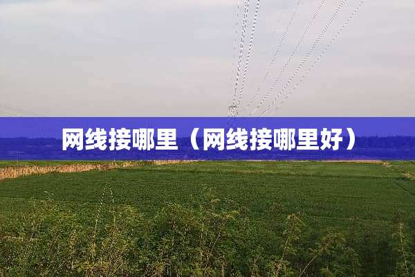 网线接哪里（网线接哪里好）