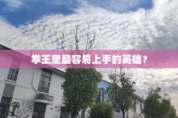 拳王里最容易上手的英雄？