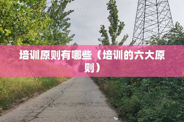 培训原则有哪些（培训的六大原则）