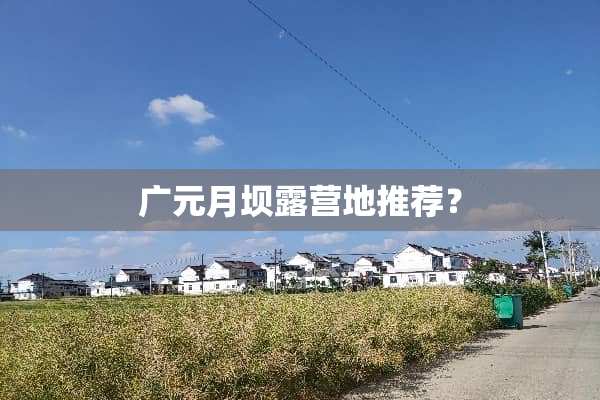 广元月坝露营地推荐？