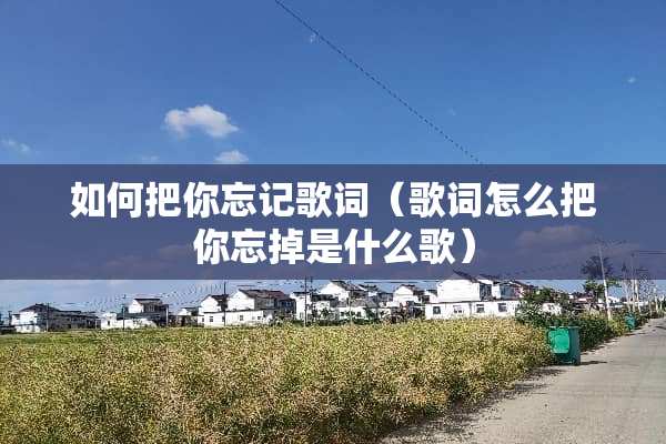 如何把你忘记歌词（歌词怎么把你忘掉是什么歌）
