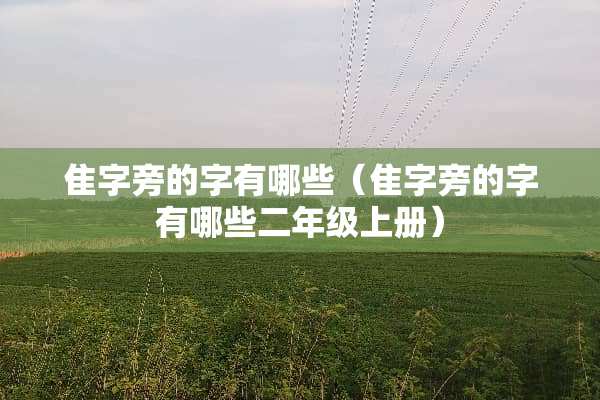 隹字旁的字有哪些（隹字旁的字有哪些二年级上册）