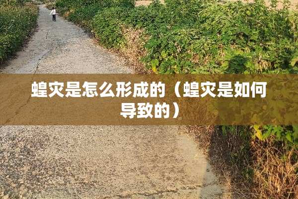 蝗灾是怎么形成的（蝗灾是如何导致的）