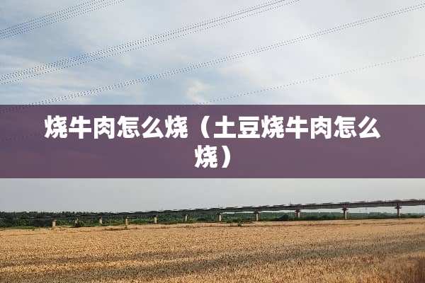 烧牛肉怎么烧（土豆烧牛肉怎么烧）