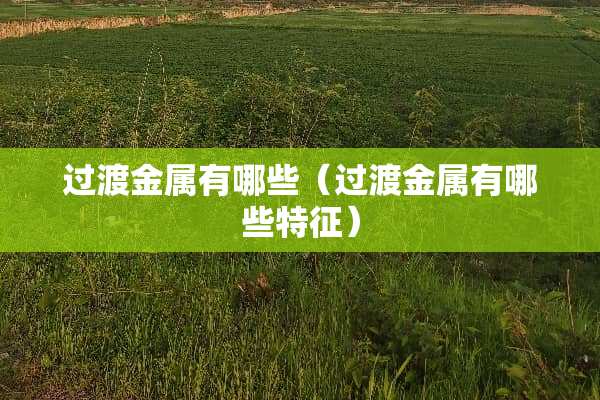 过渡金属有哪些（过渡金属有哪些特征）