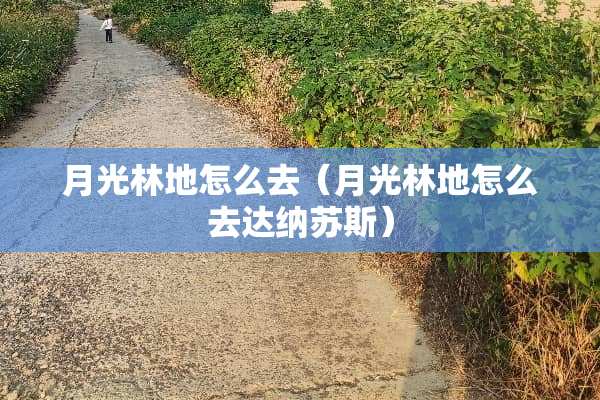 月光林地怎么去（月光林地怎么去达纳苏斯）