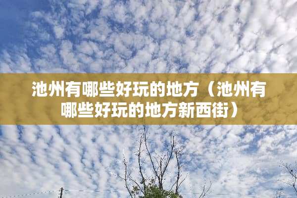 池州有哪些好玩的地方（池州有哪些好玩的地方新西街）
