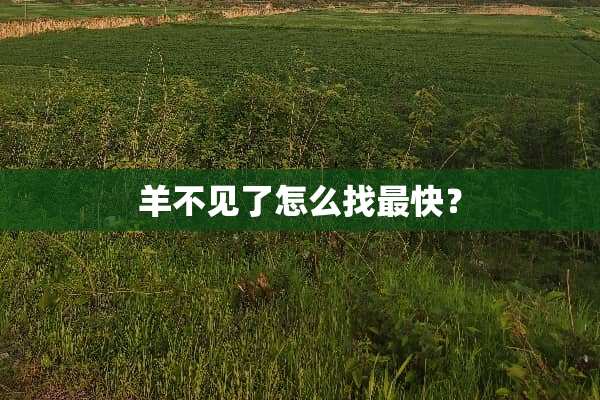 羊不见了怎么找最快？