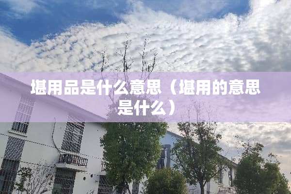 堪用品是什么意思（堪用的意思是什么）