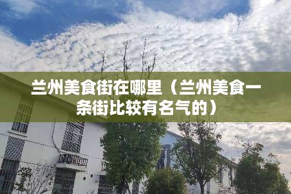 兰州美食街在哪里（兰州美食一条街比较有名气的）