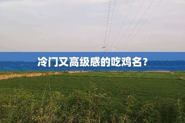 冷门又高级感的吃鸡名？