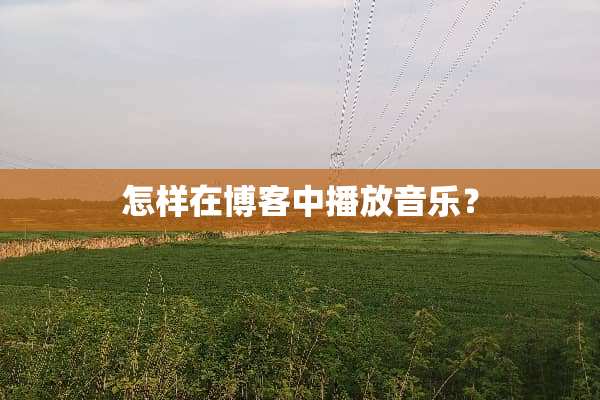 怎样在博客中播放音乐？