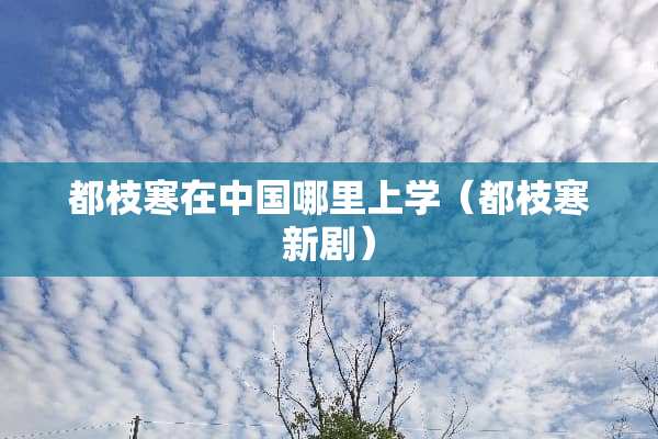 都枝寒在中国哪里上学（都枝寒新剧）