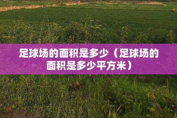 **场的面积是多少（**场的面积是多少平方米）